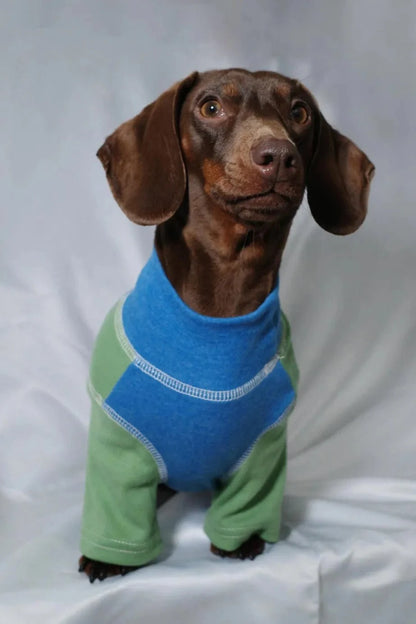 Color-blocked Dachshund Shirt The Doxie World