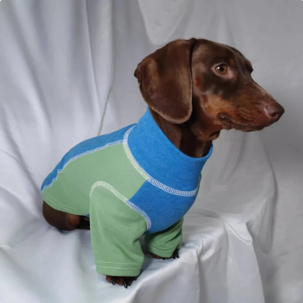 Color-blocked Dachshund Shirt The Doxie World