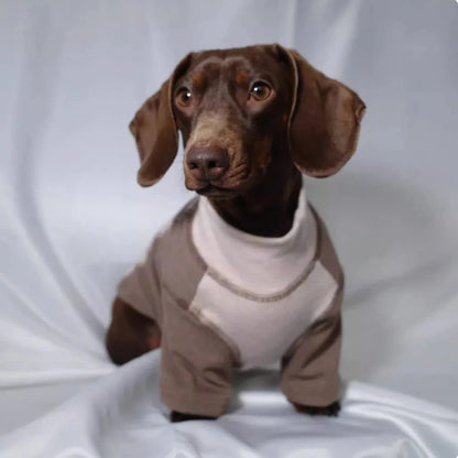 Color-blocked Dachshund Shirt Brown / XS The Doxie World