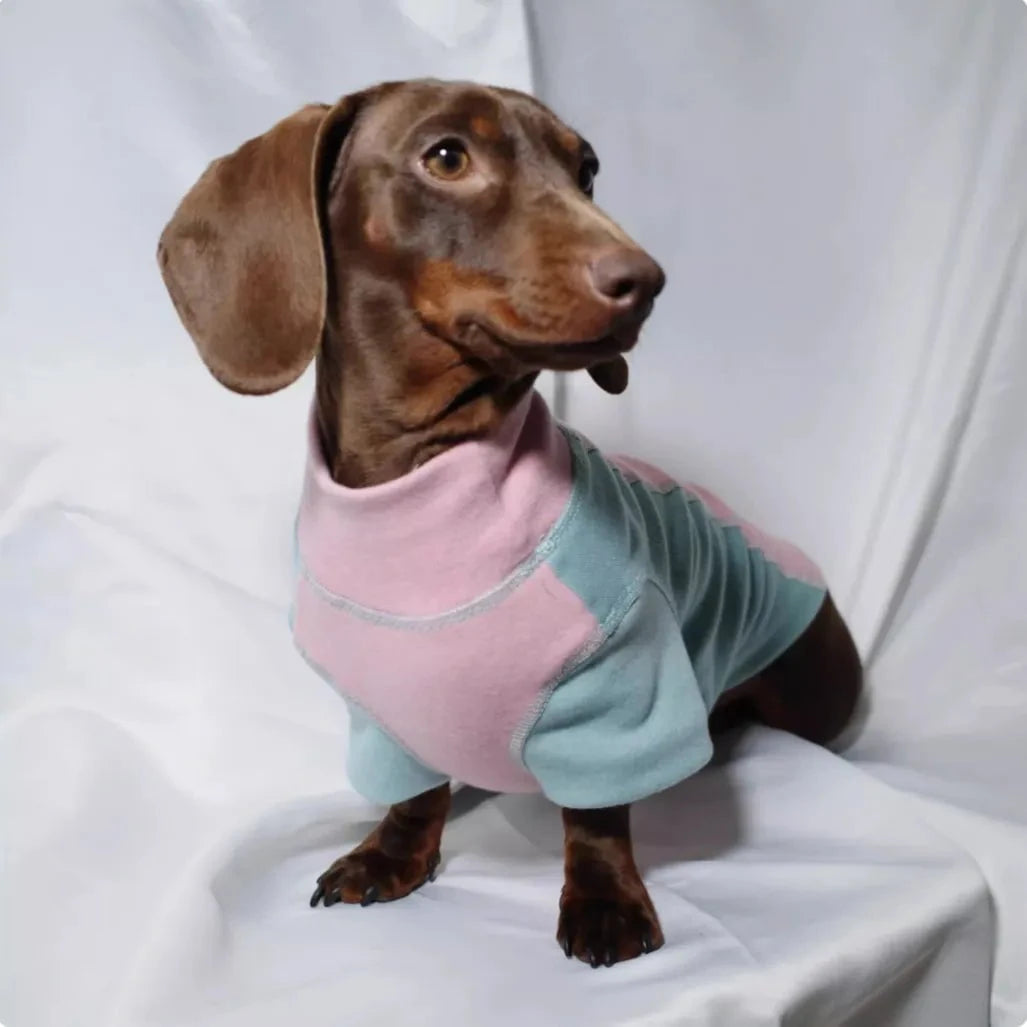 Color-blocked Dachshund Shirt Pink / XS The Doxie World