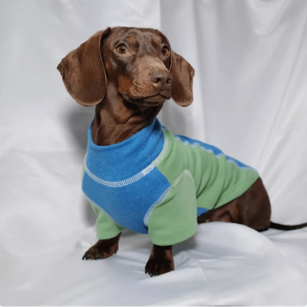 Color-blocked Dachshund Shirt Blue / XS The Doxie World