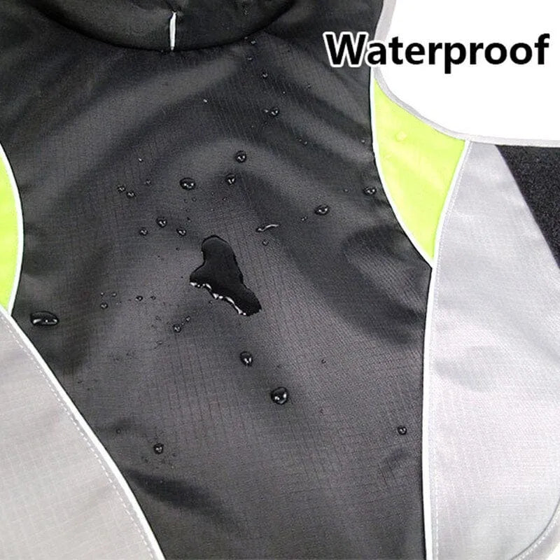 Cooper Waterproof Dachshund Jacket thedoxieworld
