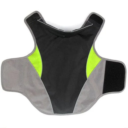 Cooper Waterproof Dachshund Jacket Black / L thedoxieworld