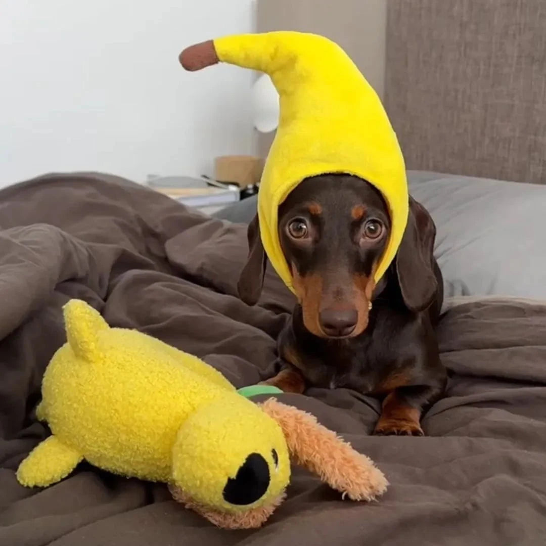 Dachshund Banana Hat yellow The Doxie World