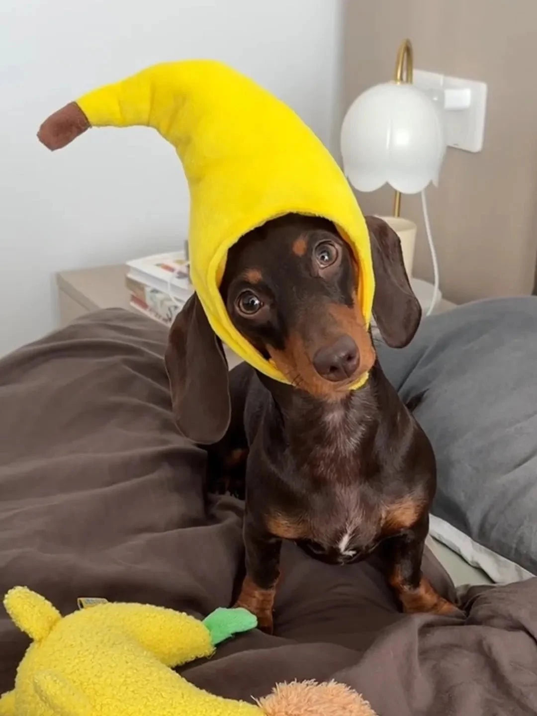 Dachshund Banana Hat yellow The Doxie World