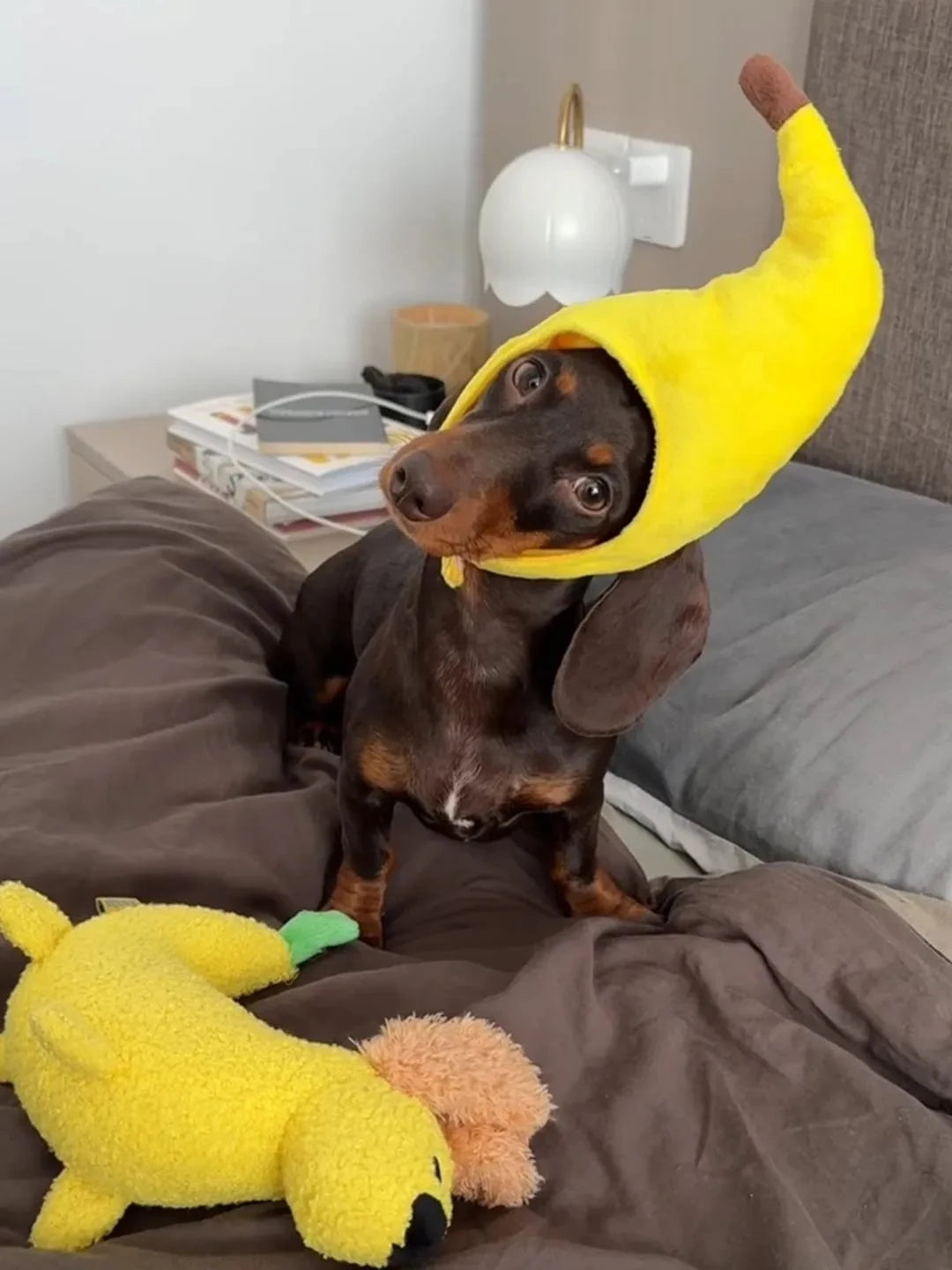 Dachshund Banana Hat yellow The Doxie World