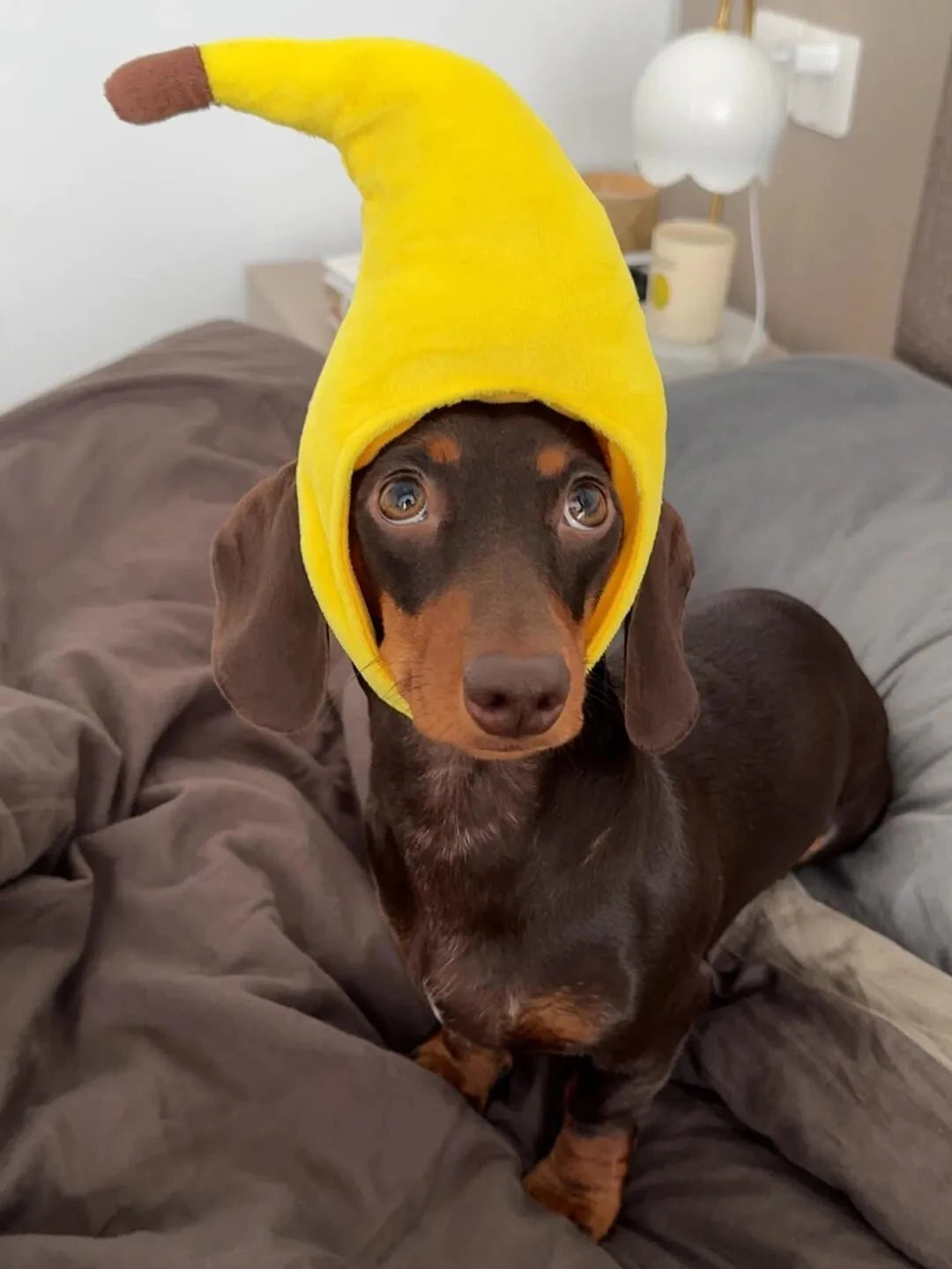 Dachshund Banana Hat yellow The Doxie World