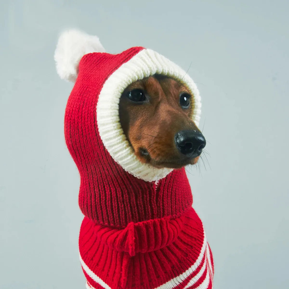Dachshund Christmas Hat Red / S The Doxie World