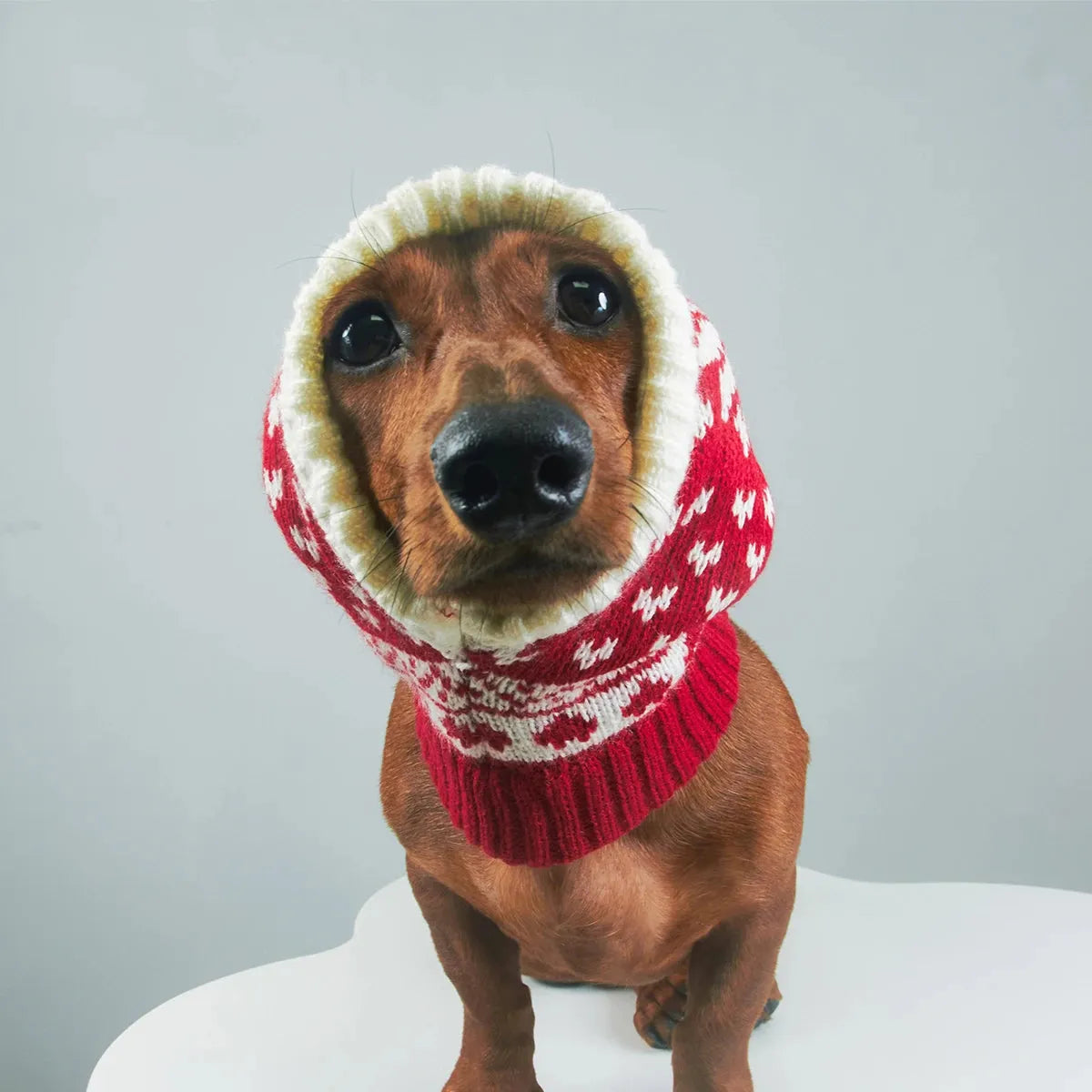 Dachshund Christmas Hat Red snowflake / S The Doxie World