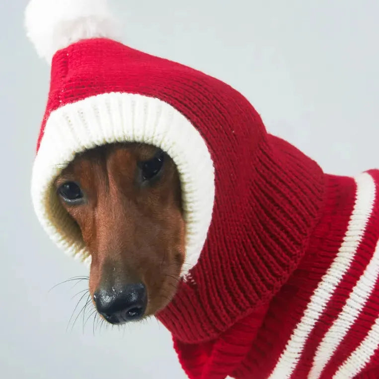 Dachshund Christmas Hat The Doxie World