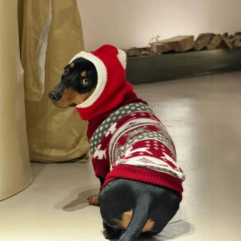 Dachshund Christmas Sweater and Hat Sweater / XS The Doxie World