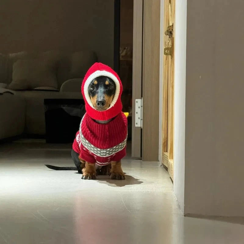 Dachshund Christmas Sweater and Hat The Doxie World