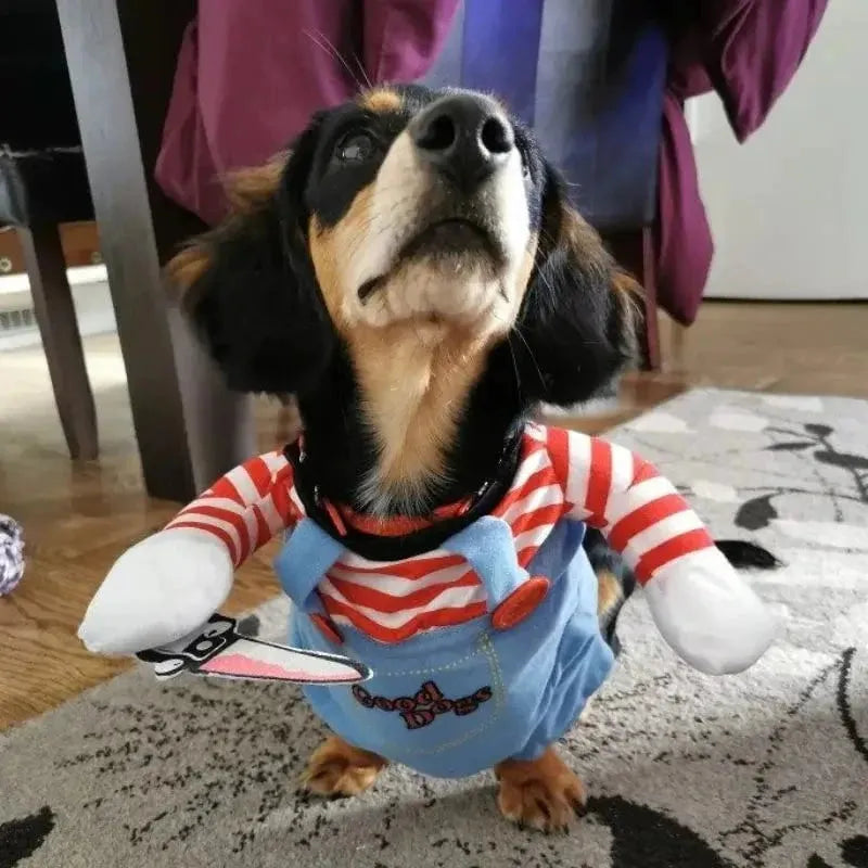 Dachshund Chucky Costume The Doxie World