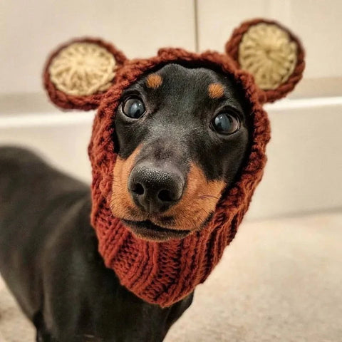 Dachshund Dog Bear Hat The Doxie World