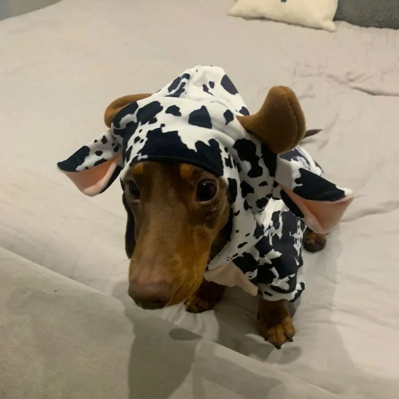 Dachshund Dog Cow Onesie The Doxie World