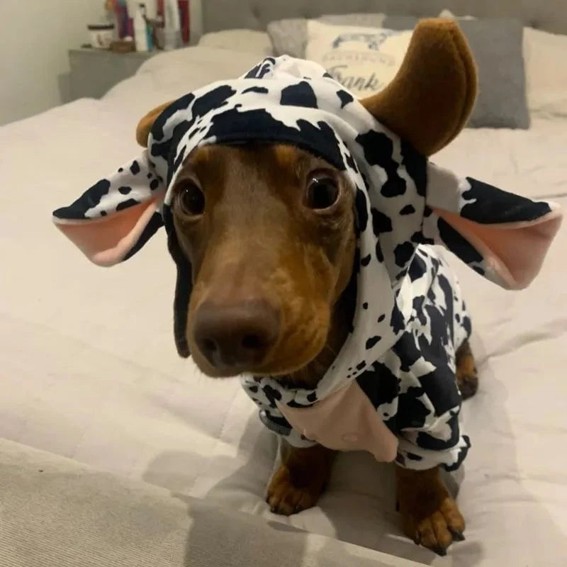 Dachshund Dog Cow Onesie The Doxie World