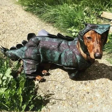 Dachshund Dog Dino Costume XS The Doxie World