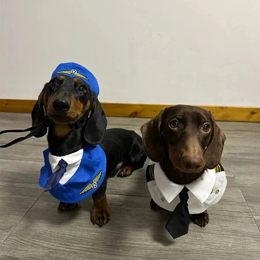 Dachshund Dog Pilot Costume The Doxie World