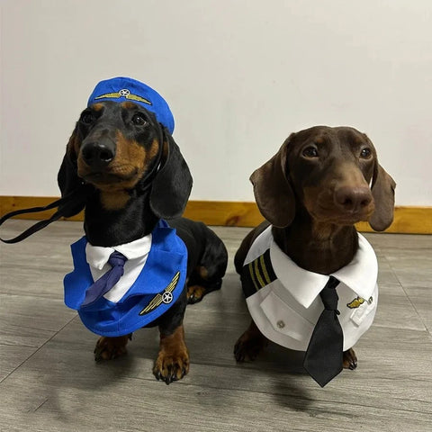Dachshund Dog Pilot Costume The Doxie World