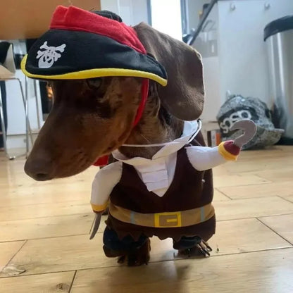 Dachshund Dog Pirate Costume The Doxie World