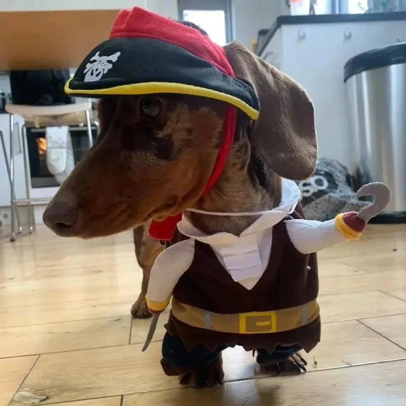 Dachshund Dog Pirate Costume The Doxie World