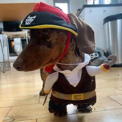 Dachshund Dog Pirate Costume The Doxie World