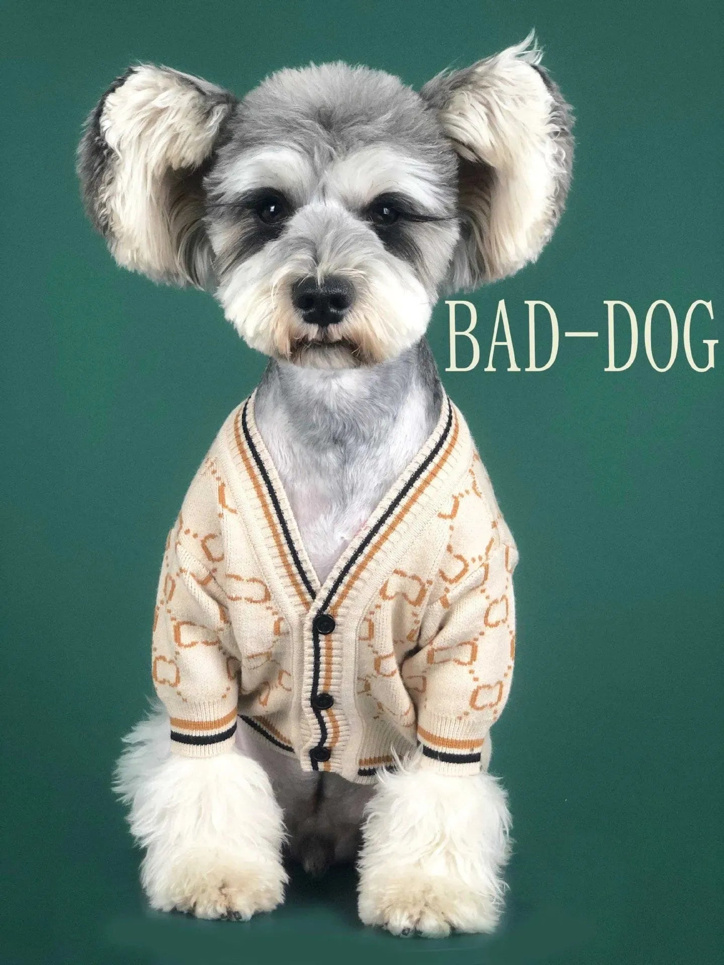 Dachshund Ducci Sweater The Doxie World