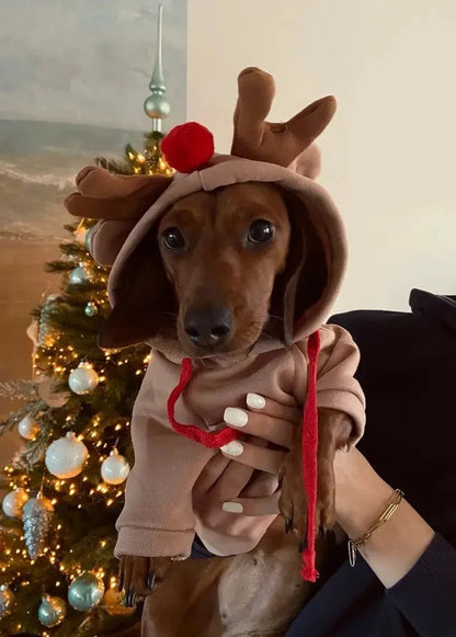 Dachshund Elk Hoodie The Doxie World