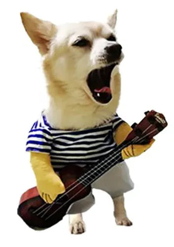 Dachshund Festive Costumes Guitarist / L The Doxie World