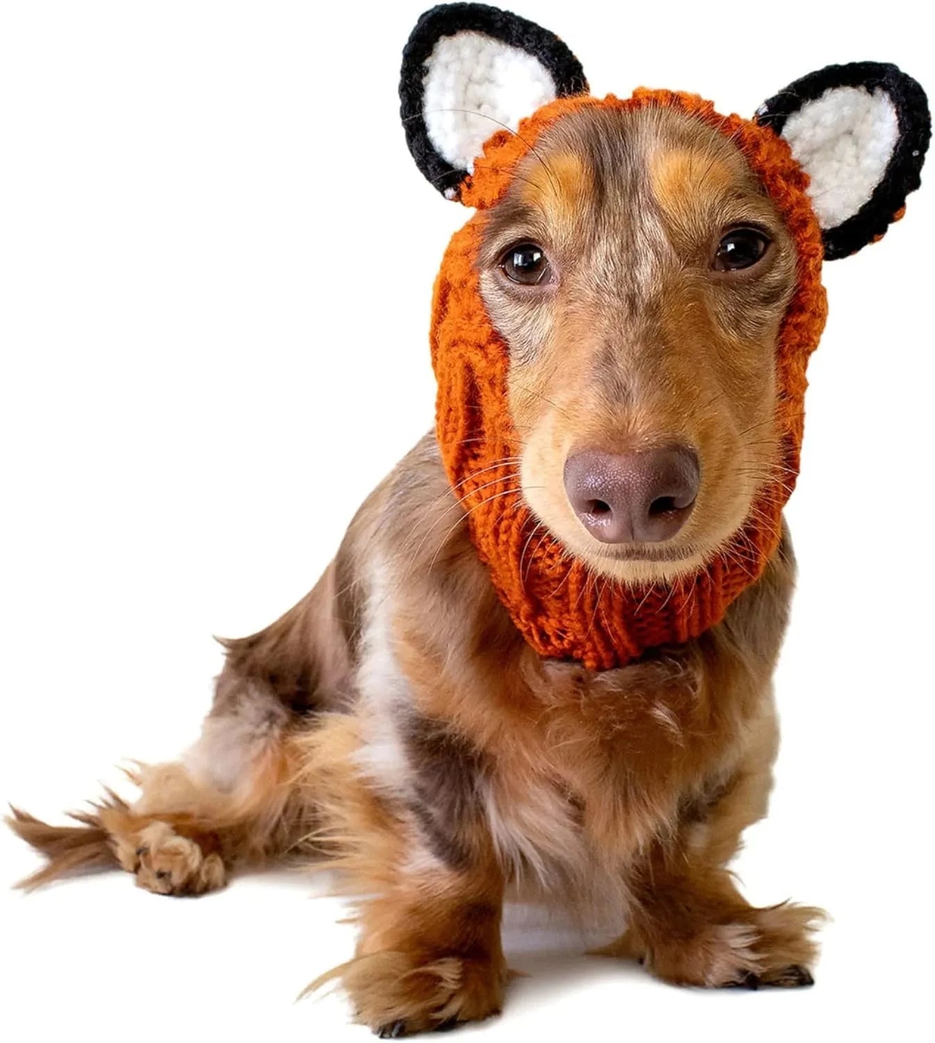 Dachshund Fox Hat The Doxie World