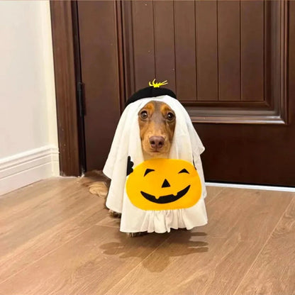 Dachshund Ghost Costume The Doxie World