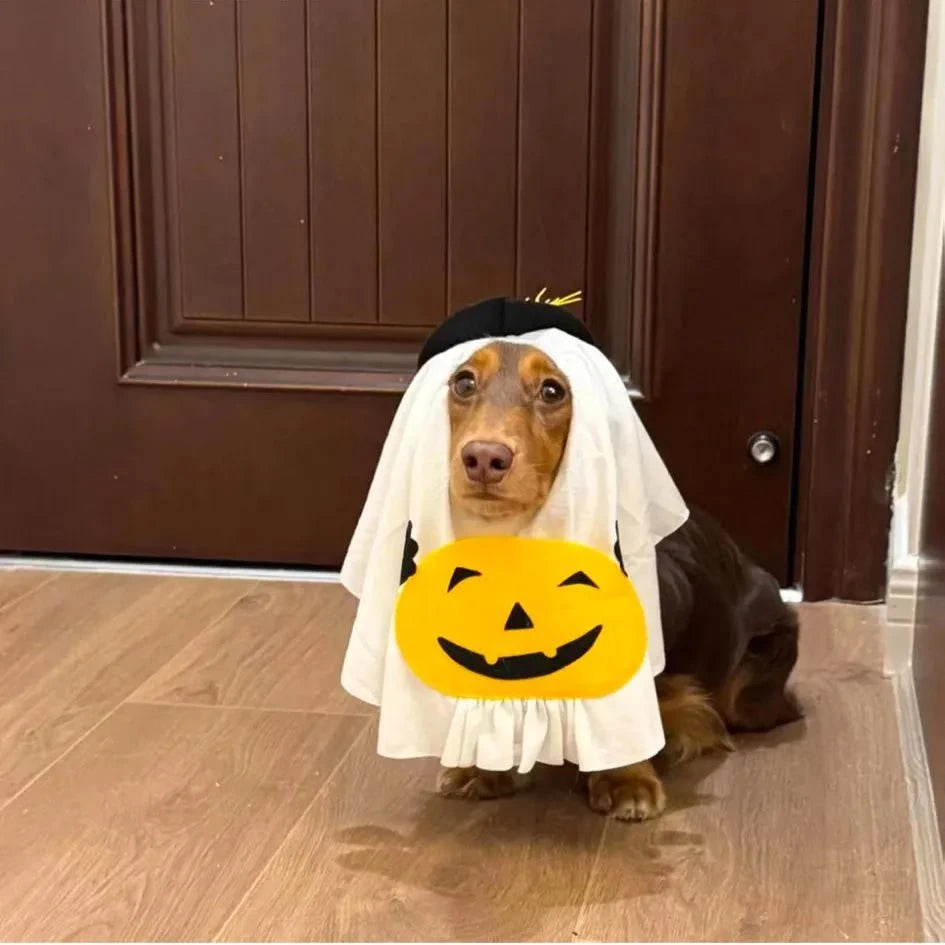 Dachshund Ghost Costume The Doxie World