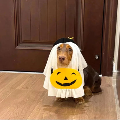 Dachshund Ghost Costume The Doxie World