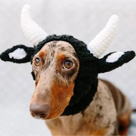Dachshund Halloween Cow Hat The Doxie World