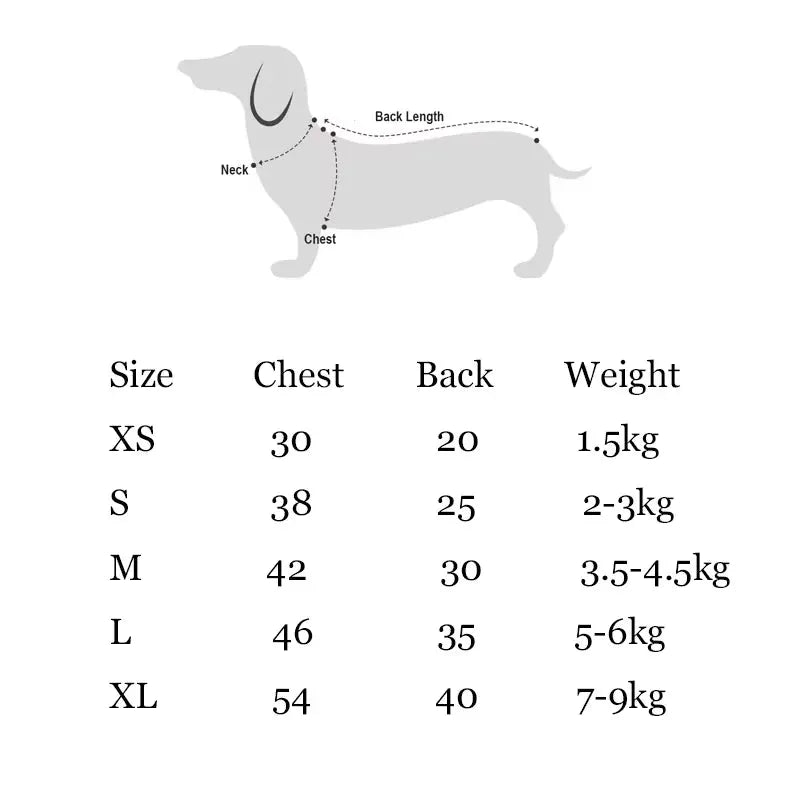 Dachshund Halloween Sweater The Doxie World