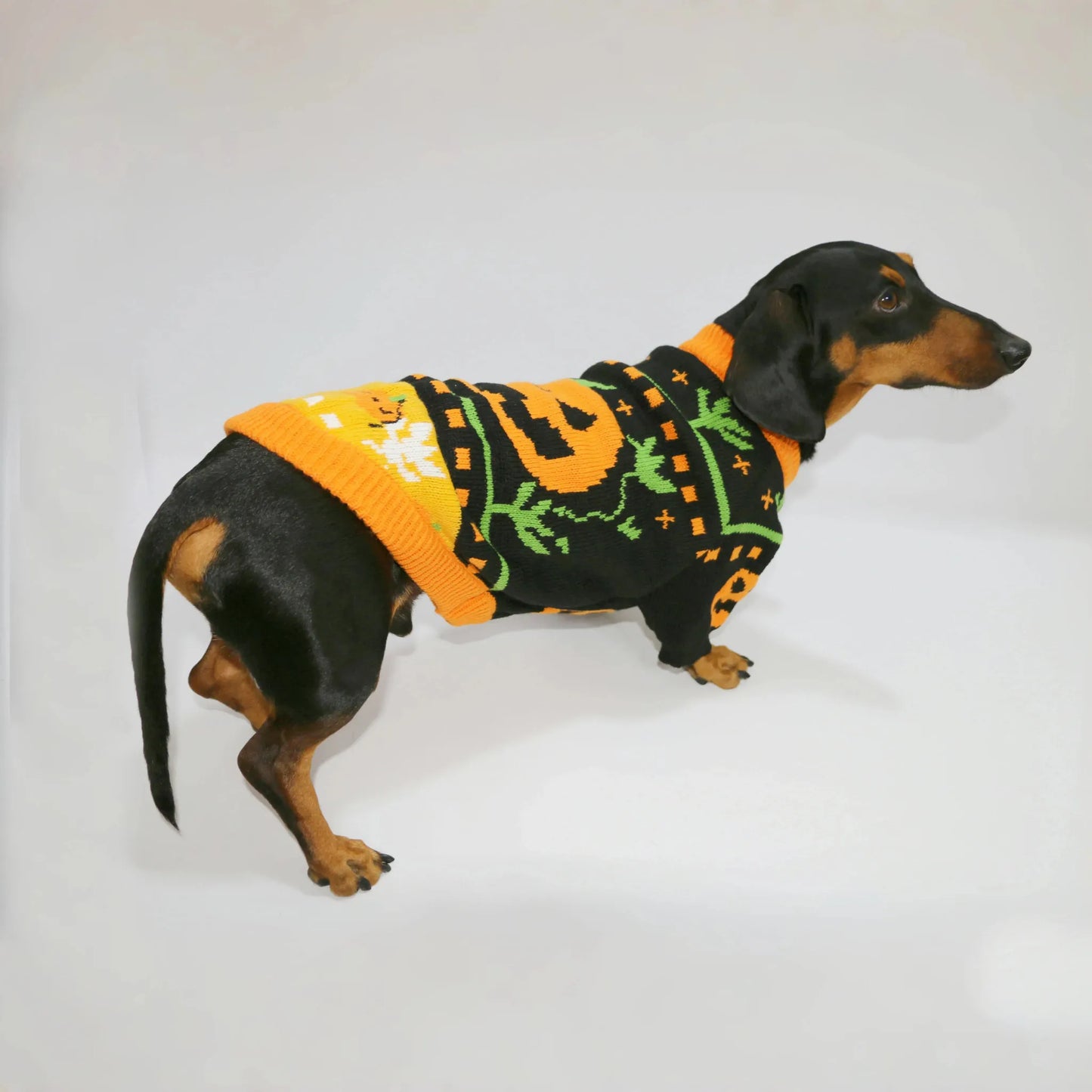 Dachshund Halloween Sweater The Doxie World