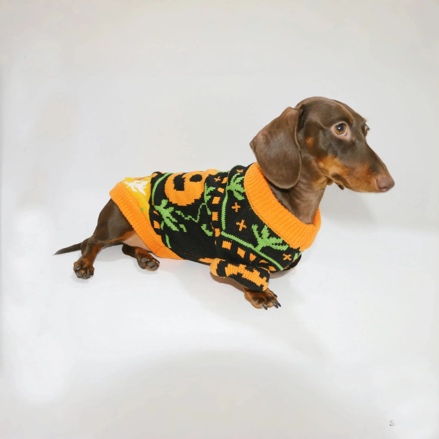 Dachshund Halloween Sweater The Doxie World