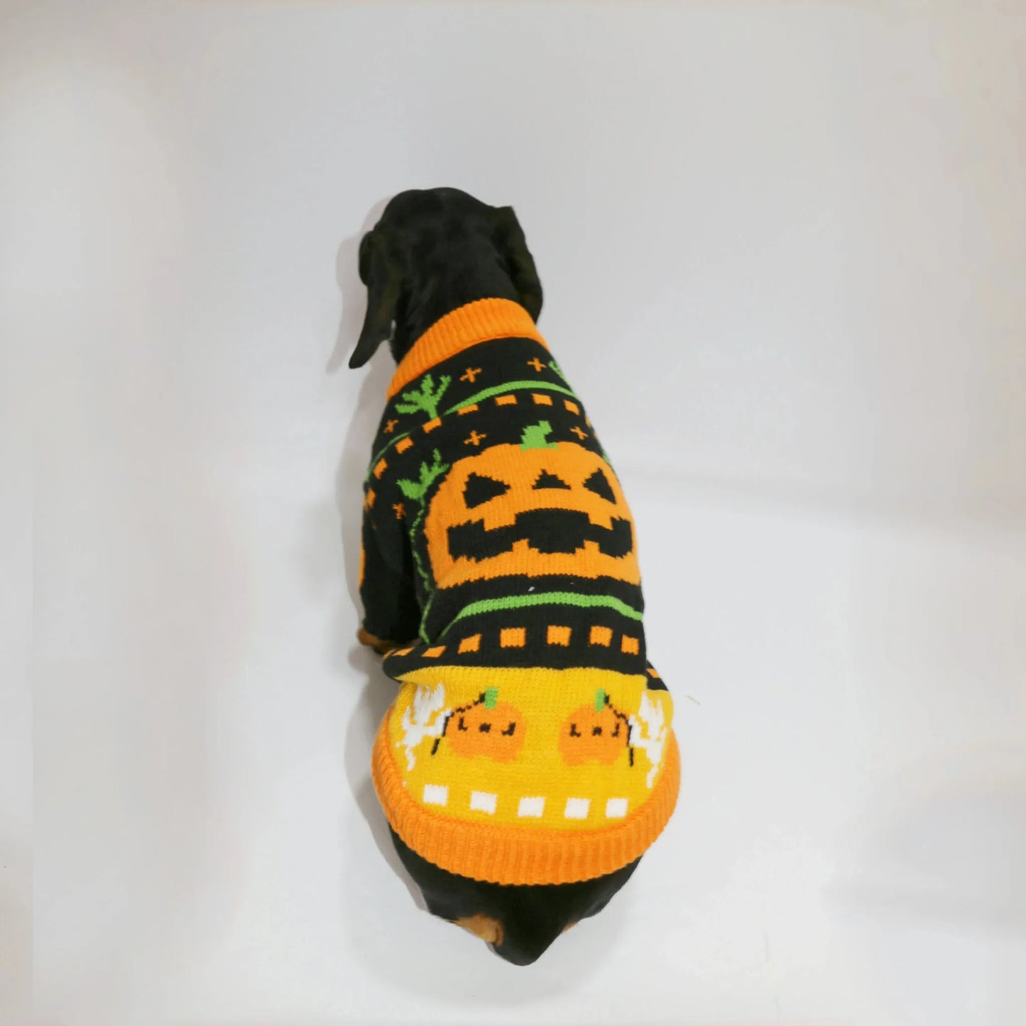 Dachshund Halloween Sweater The Doxie World