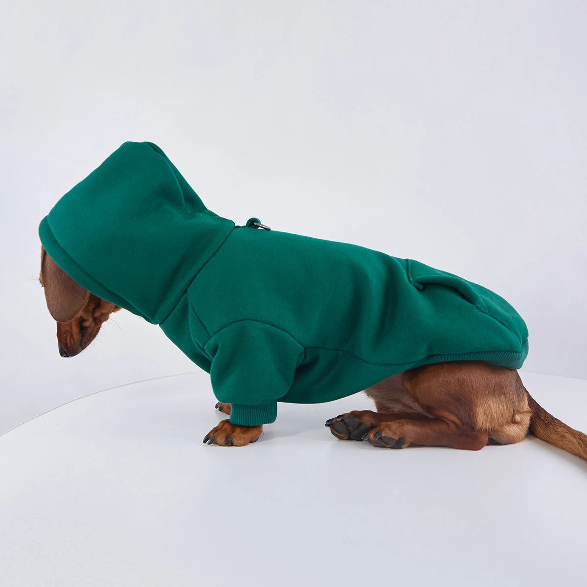 Dachshund Hoodie The Doxie World
