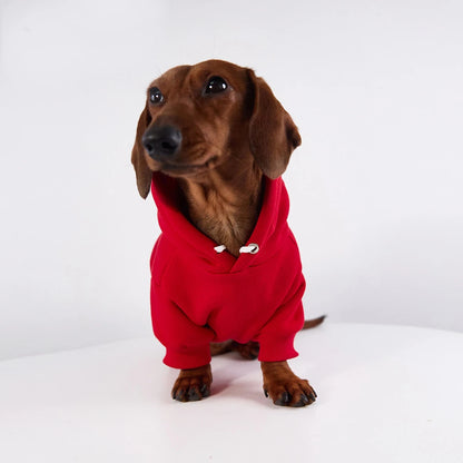 Dachshund Hoodie Red / S The Doxie World