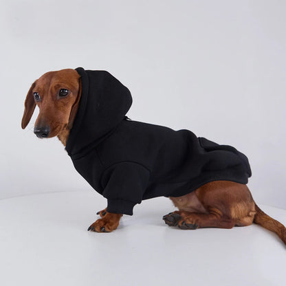 Dachshund Hoodie Black / S The Doxie World