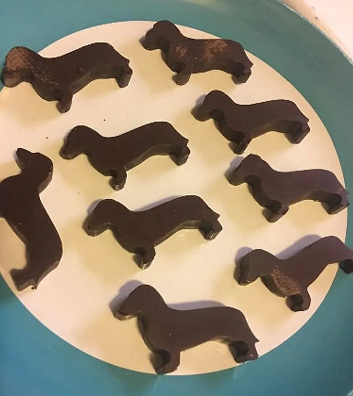 Dachshund Ice Cube Tray The Doxie World