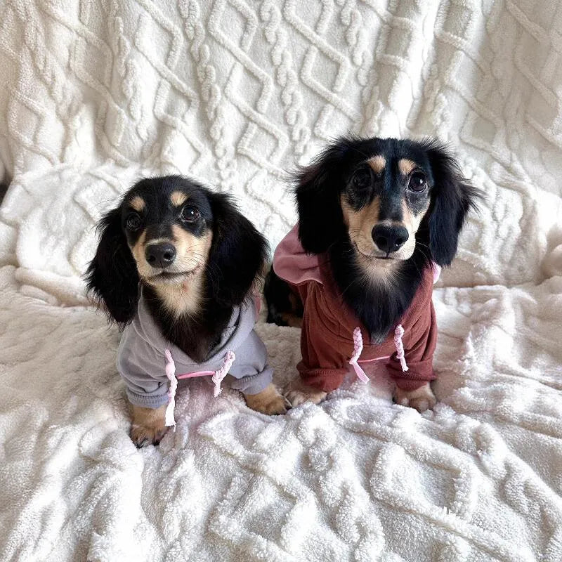 Dachshund Mouse Costume The Doxie World