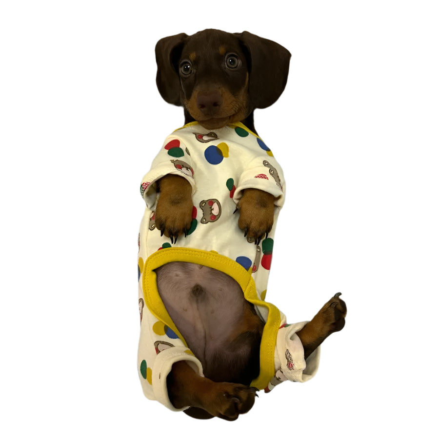 Dachshund Onesie The Doxie World