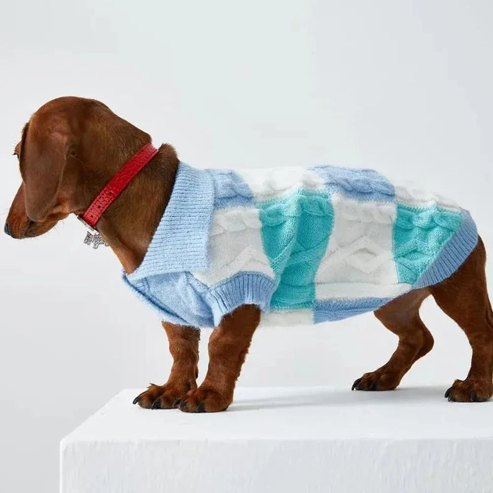 Dachshund Polo Sweater Blue / 2XL The Doxie World