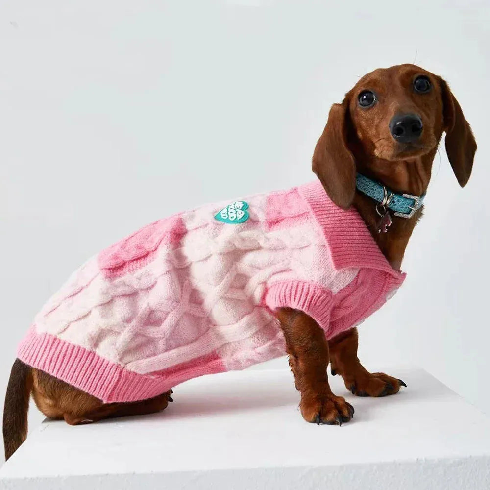 Dachshund Polo Sweater Pink / L The Doxie World