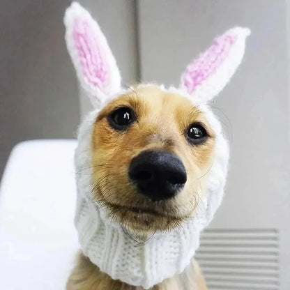 Dachshund Rabbit Hat The Doxie World