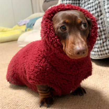 Dachshund Sherpa Fleece Sweater Red / Xs The Doxie World