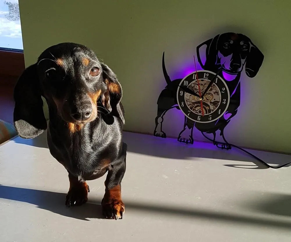 Dachshund Wall Clock The Doxie World