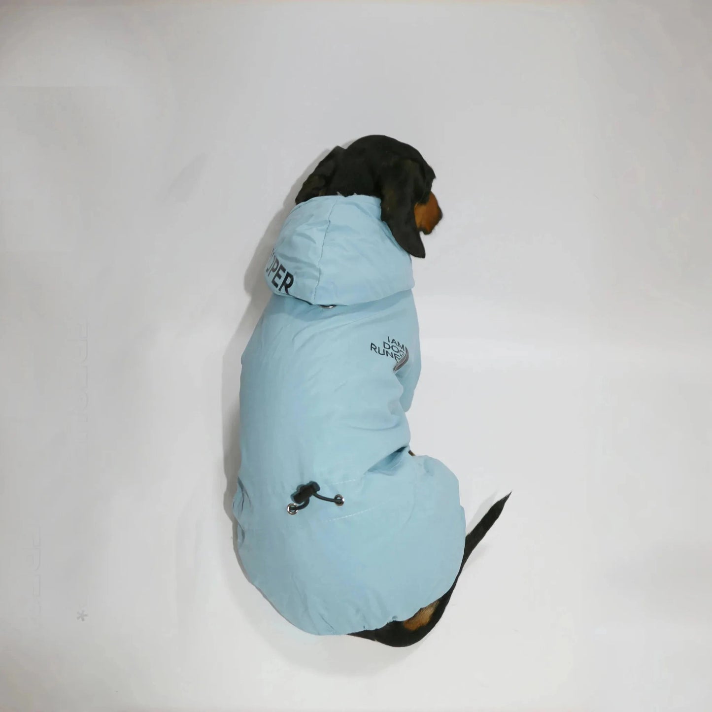 Dachshund Winter Overall The Doxie World